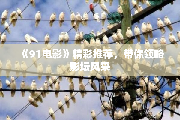 《91电影》精彩推荐，带你领略影坛风采