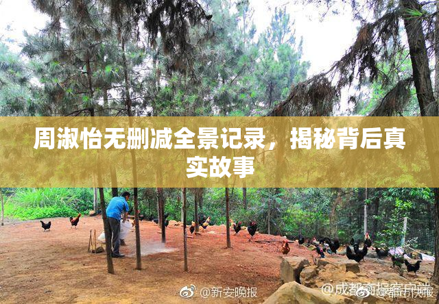 周淑怡无删减全景记录，揭秘背后真实故事