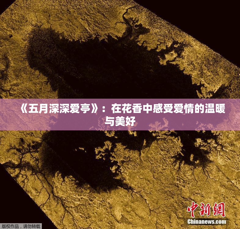 《五月深深爱亭》：在花香中感受爱情的温暖与美好