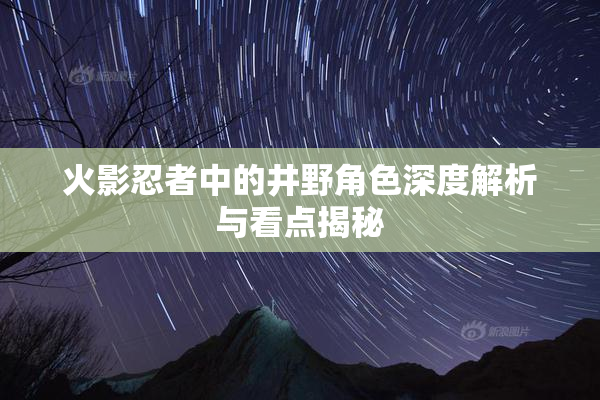 火影忍者中的井野角色深度解析与看点揭秘