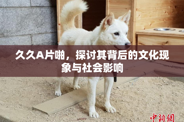 久久A片啪，探讨其背后的文化现象与社会影响