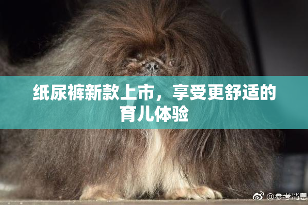 纸尿裤新款上市，享受更舒适的育儿体验