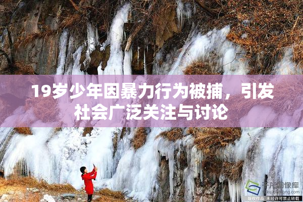 19岁少年因暴力行为被捕，引发社会广泛关注与讨论