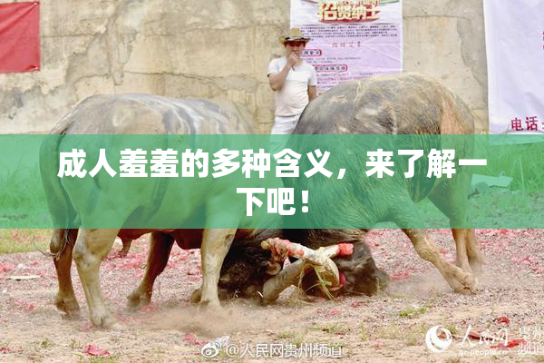 成人羞羞的多种含义，来了解一下吧！