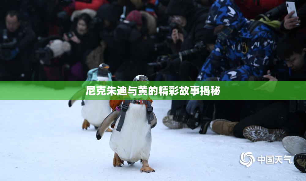 尼克朱迪与黄的精彩故事揭秘