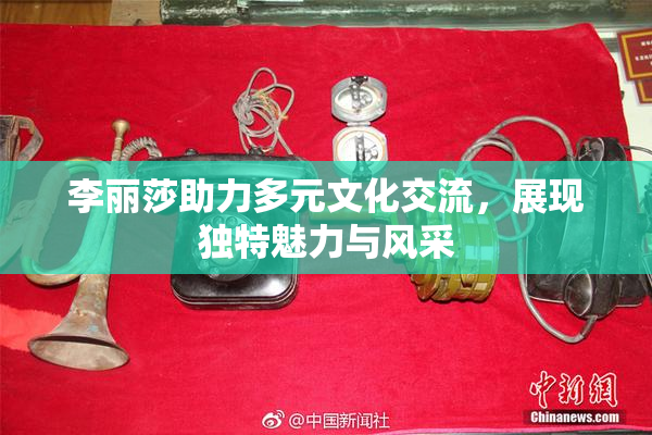 李丽莎助力多元文化交流，展现独特魅力与风采
