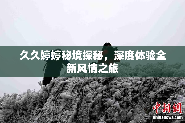 久久婷婷秘境探秘，深度体验全新风情之旅