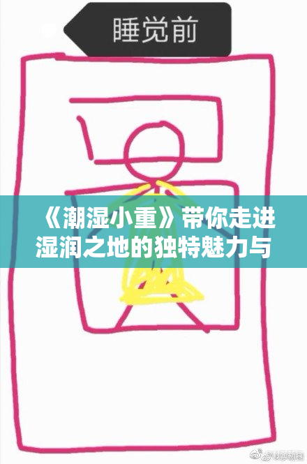 《潮湿小重》带你走进湿润之地的独特魅力与故事