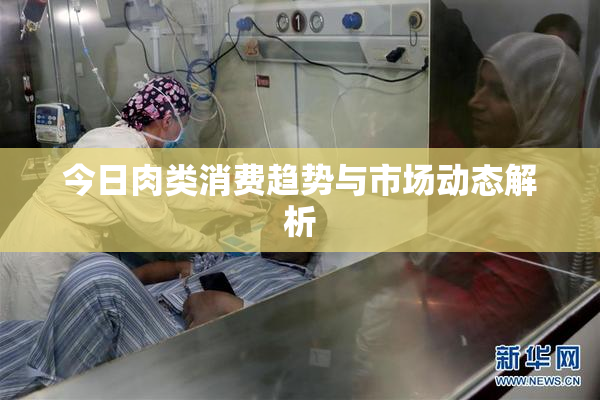 今日肉类消费趋势与市场动态解析