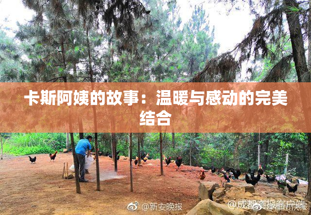 卡斯阿姨的故事：温暖与感动的完美结合