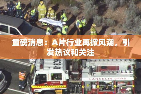 重磅消息：A片行业再掀风潮，引发热议和关注