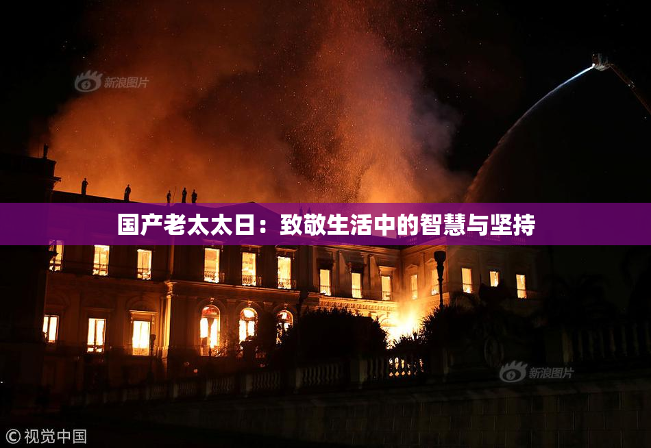 国产老太太日：致敬生活中的智慧与坚持