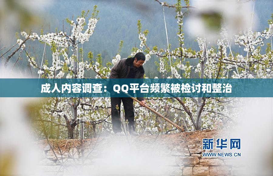 成人内容调查：QQ平台频繁被检讨和整治