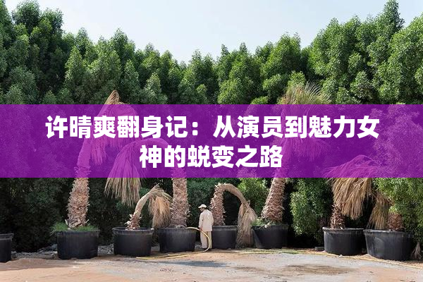 许晴爽翻身记：从演员到魅力女神的蜕变之路
