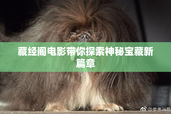藏经阁电影带你探索神秘宝藏新篇章