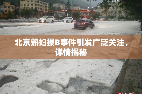 北京熟妇搡B事件引发广泛关注，详情揭秘