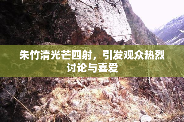 朱竹清光芒四射，引发观众热烈讨论与喜爱