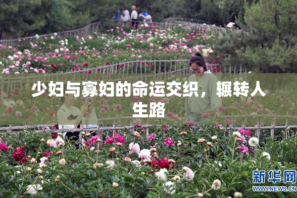 少妇与寡妇的命运交织，辗转人生路