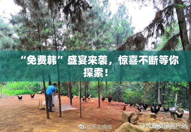 “免费韩”盛宴来袭，惊喜不断等你探索！