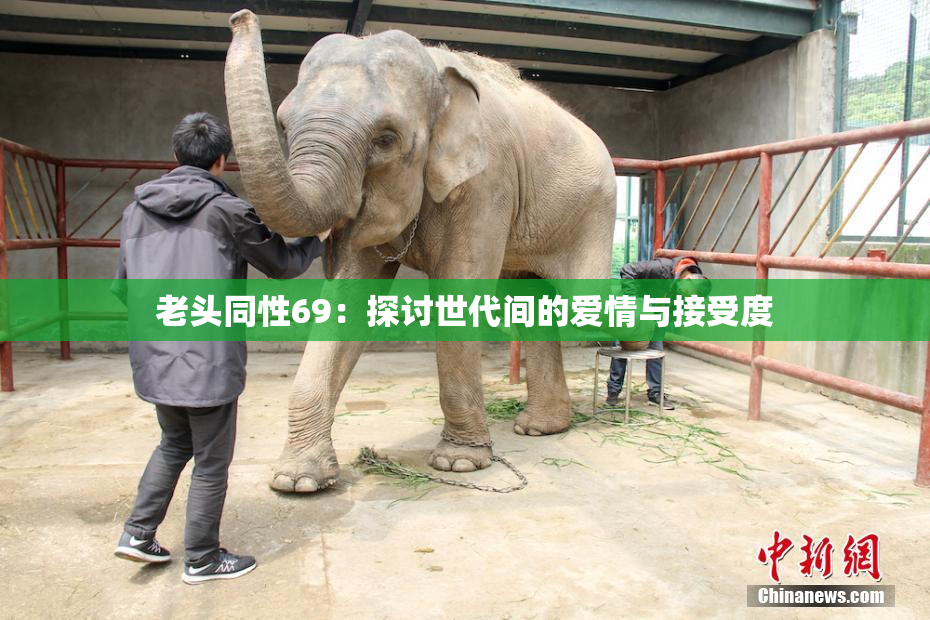 老头同性69：探讨世代间的爱情与接受度