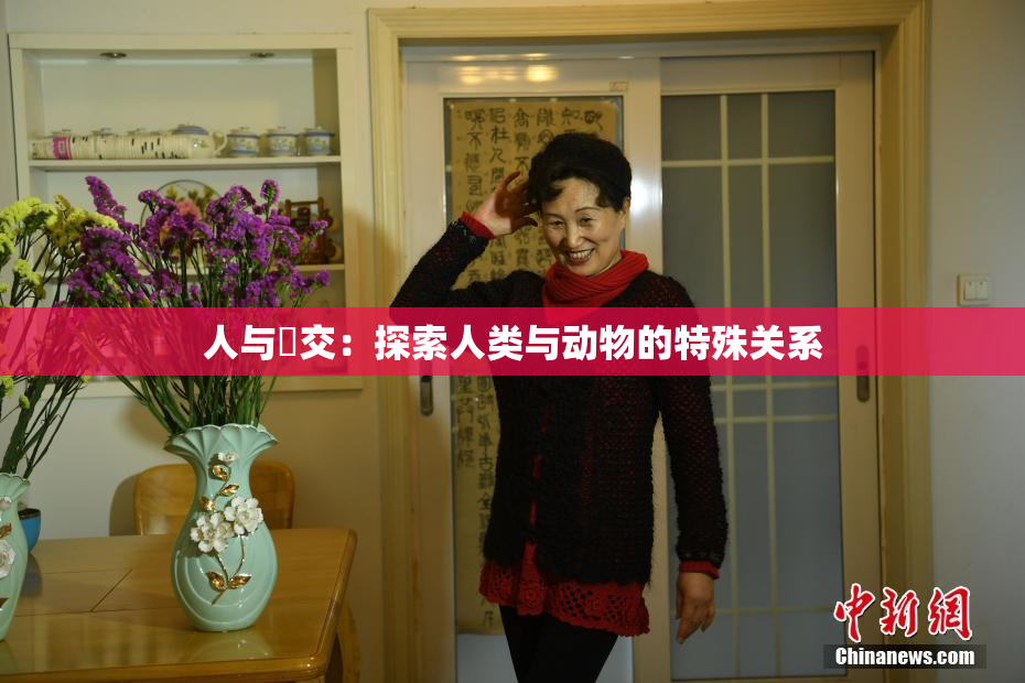 人与嘼交：探索人类与动物的特殊关系