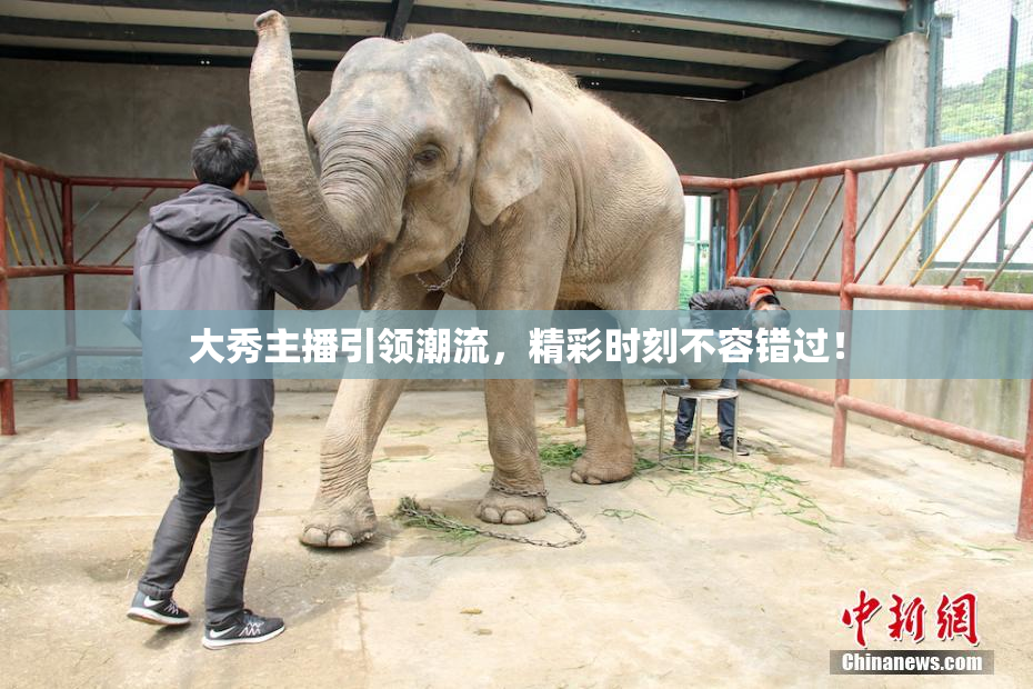 大秀主播引领潮流，精彩时刻不容错过！