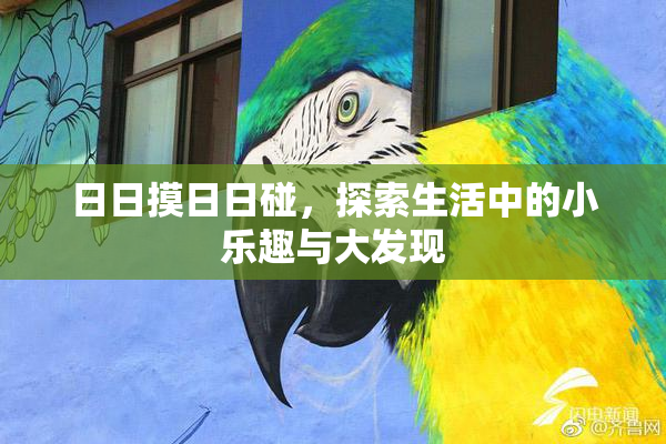 日日摸日日碰，探索生活中的小乐趣与大发现