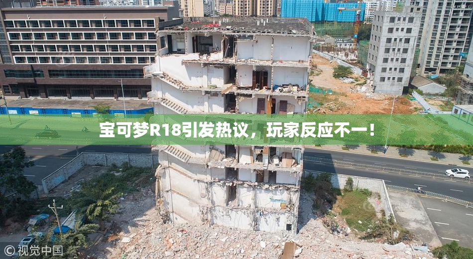 宝可梦R18引发热议，玩家反应不一！