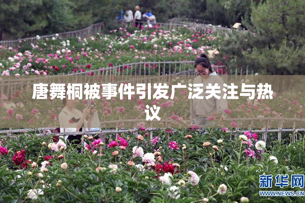 唐舞桐被事件引发广泛关注与热议