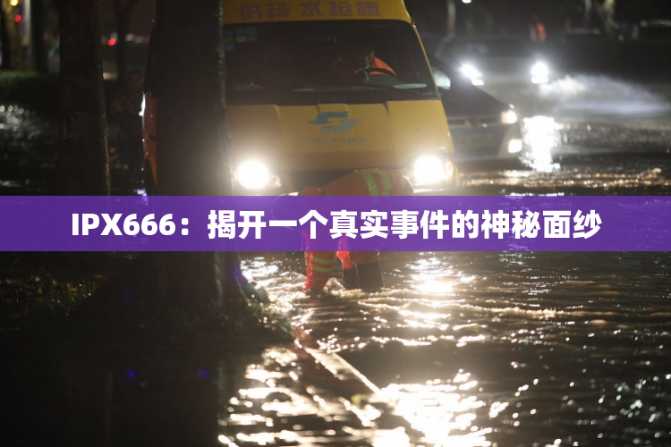 IPX666：揭开一个真实事件的神秘面纱