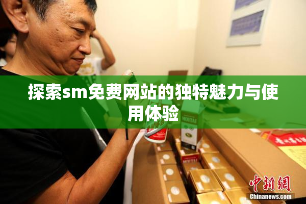 探索sm免费网站的独特魅力与使用体验