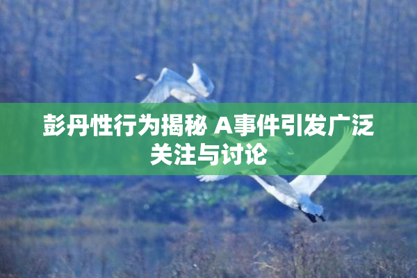 彭丹性行为揭秘 A事件引发广泛关注与讨论