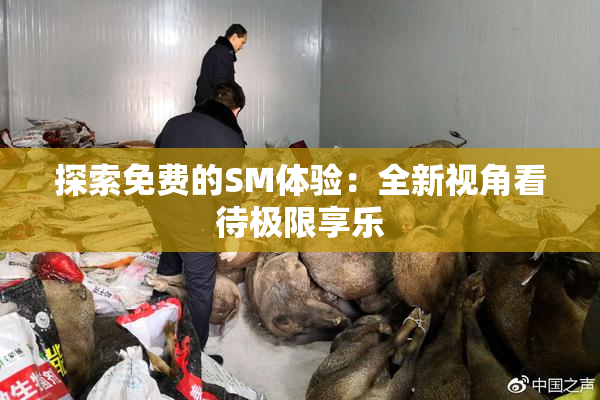探索免费的SM体验：全新视角看待极限享乐