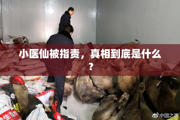 小医仙被指责，真相到底是什么？