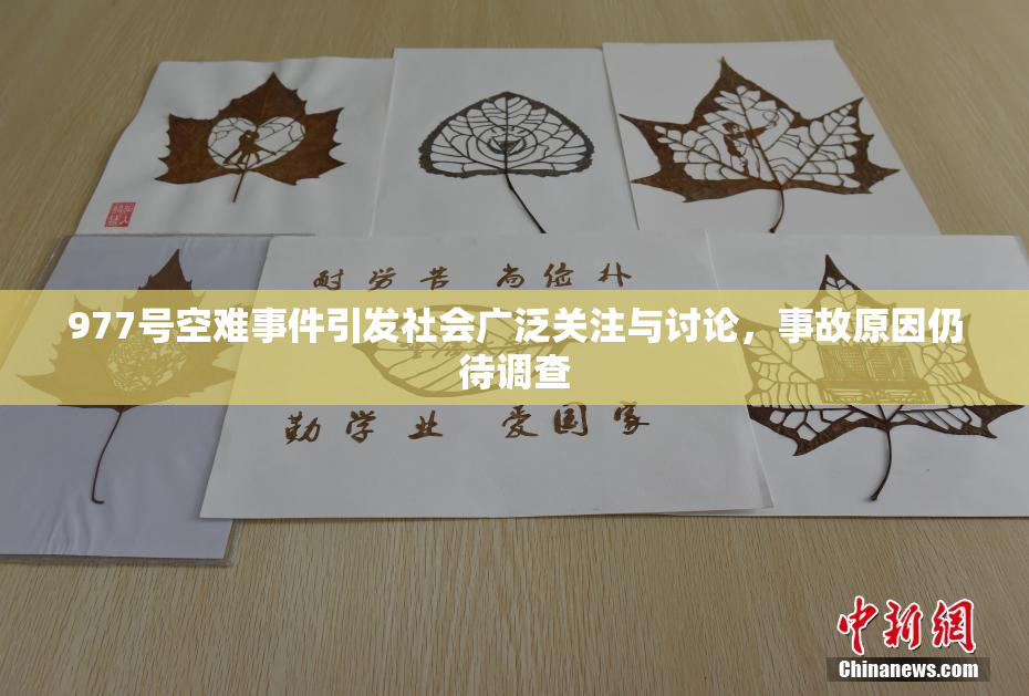 977号空难事件引发社会广泛关注与讨论，事故原因仍待调查