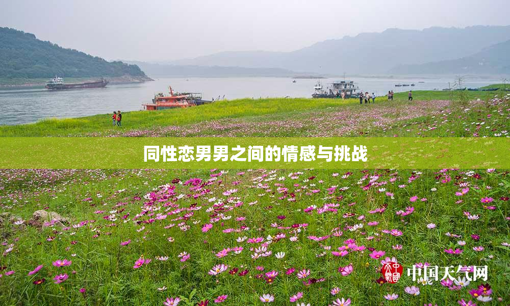 同性恋男男之间的情感与挑战