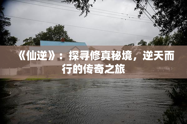 《仙逆》：探寻修真秘境，逆天而行的传奇之旅