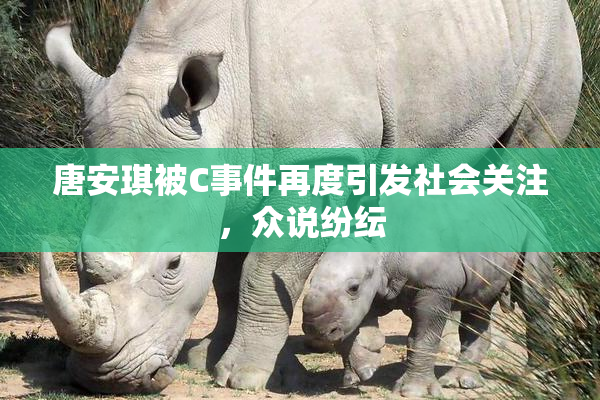 唐安琪被C事件再度引发社会关注，众说纷纭