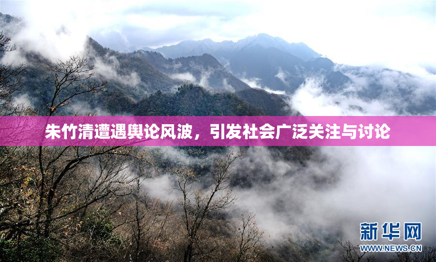 朱竹清遭遇舆论风波，引发社会广泛关注与讨论