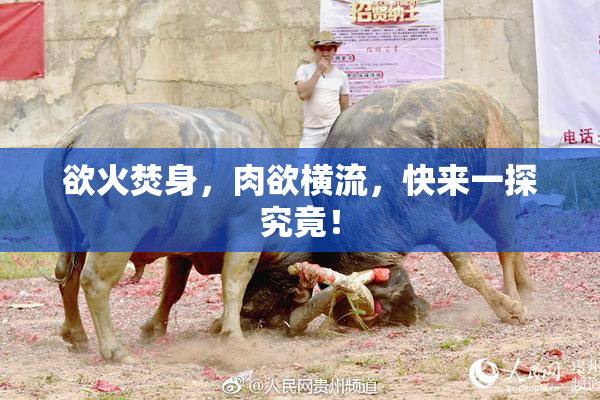 欲火焚身，肉欲横流，快来一探究竟！