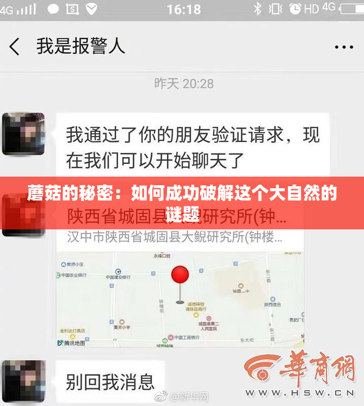 蘑菇的秘密：如何成功破解这个大自然的谜题