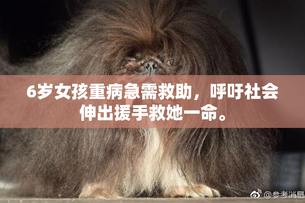 6岁女孩重病急需救助，呼吁社会伸出援手救她一命。