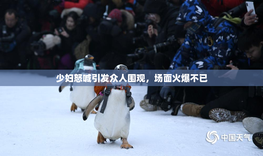 少妇怒喊引发众人围观，场面火爆不已