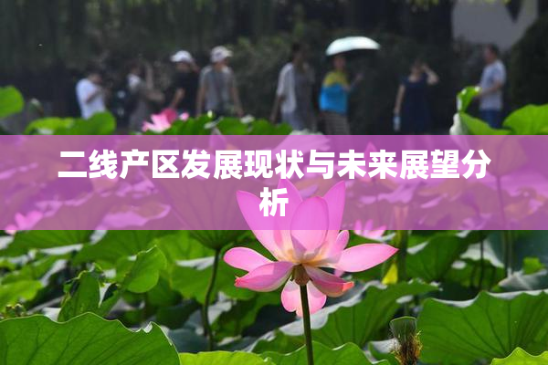二线产区发展现状与未来展望分析