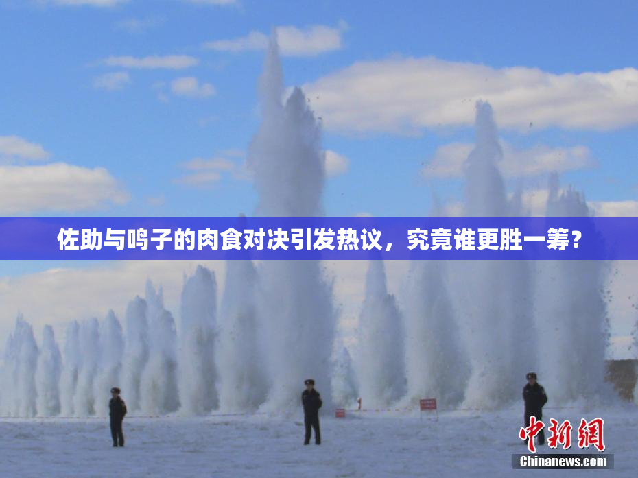 佐助与鸣子的肉食对决引发热议，究竟谁更胜一筹？
