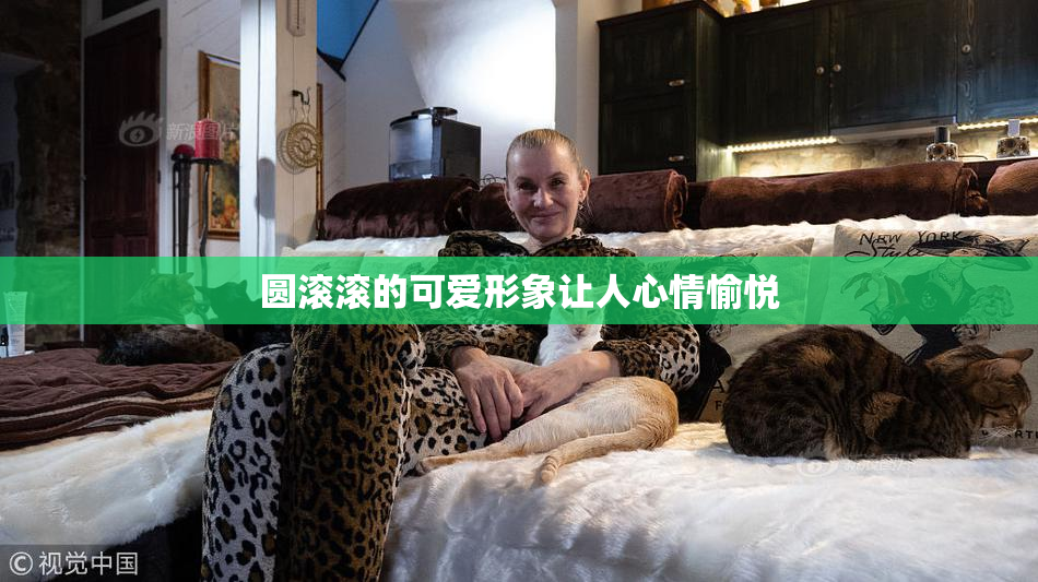 圆滚滚的可爱形象让人心情愉悦