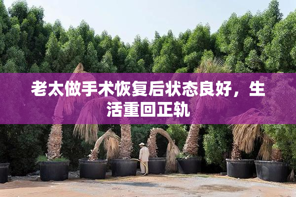 老太做手术恢复后状态良好，生活重回正轨