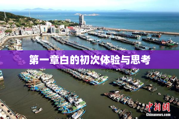 第一章白的初次体验与思考