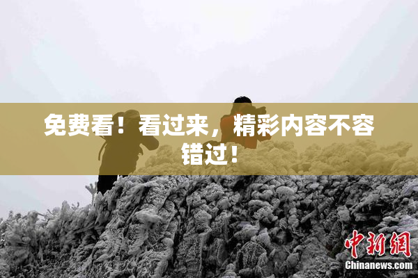 免费看！看过来，精彩内容不容错过！