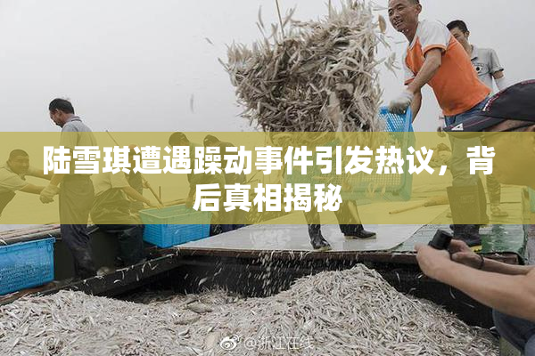 陆雪琪遭遇躁动事件引发热议，背后真相揭秘